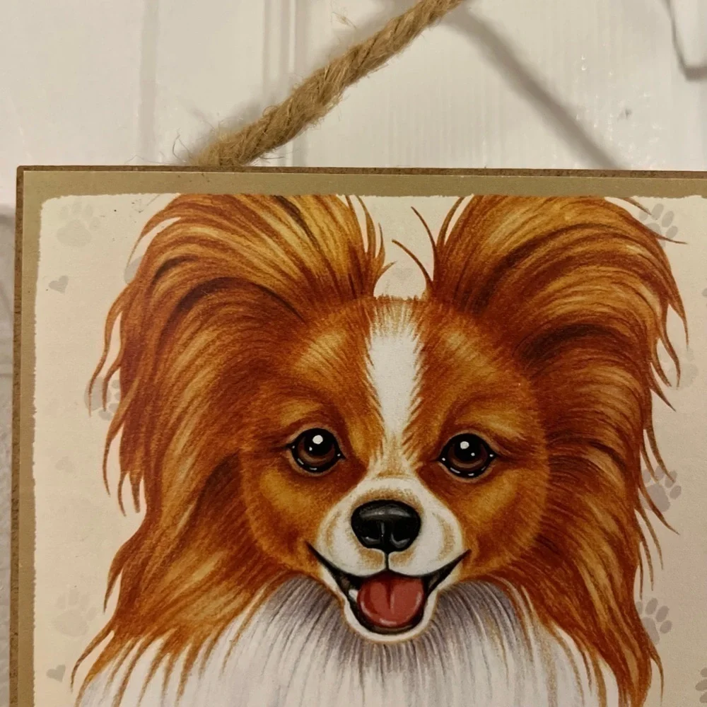 no brand papillon doggy